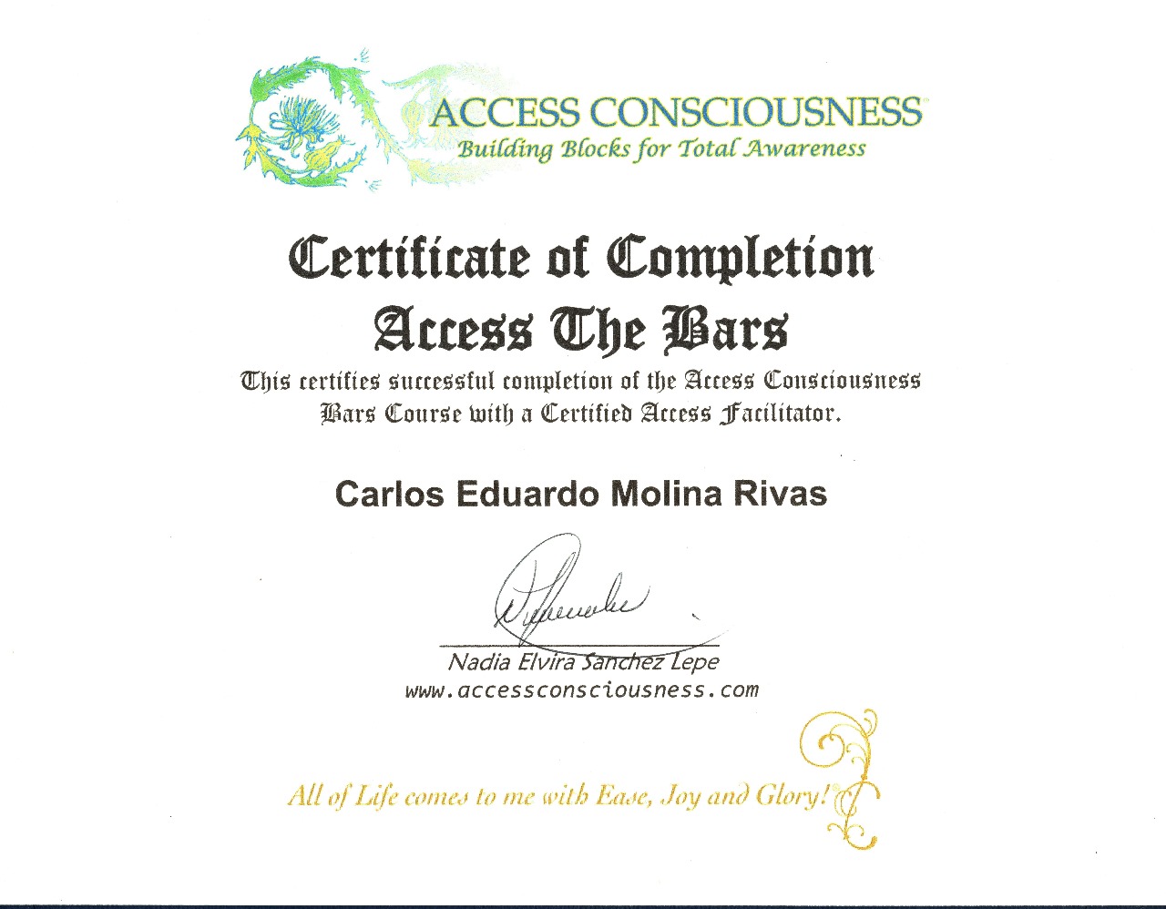 Psicoterapia Breve Sistémica online