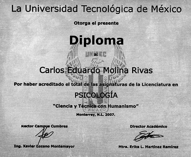 Psicoterapia Breve Sistémica online