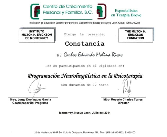 Psicoterapia Breve Sistémica online