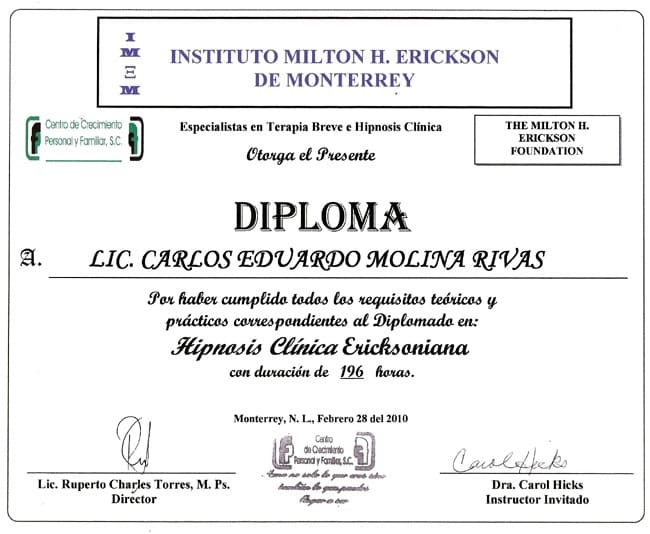 Psicoterapia Breve Sistémica online