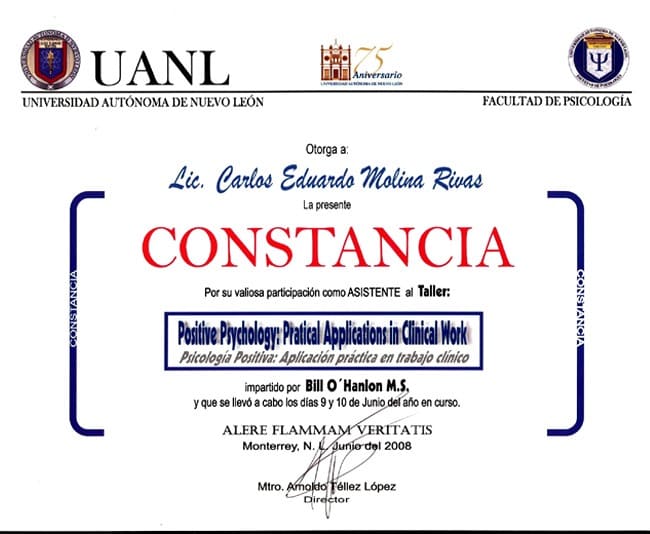 Psicoterapia Breve Sistémica online