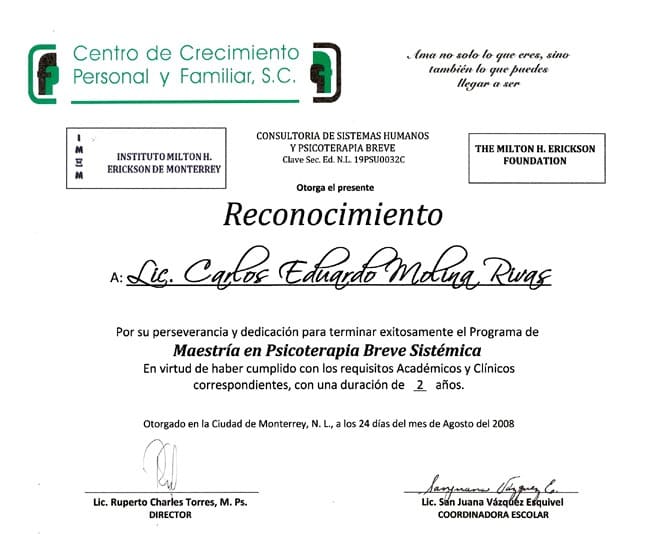 Psicoterapia Breve Sistémica online