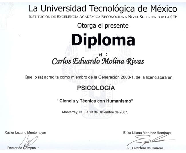 Psicoterapia Breve Sistémica online