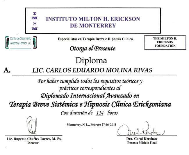 Psicoterapia Breve Sistémica online