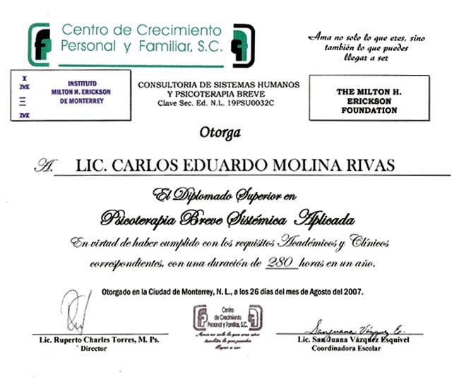 Psicoterapia Breve Sistémica online