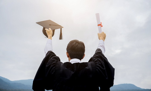 Psicoterapia Breve Sistémica online